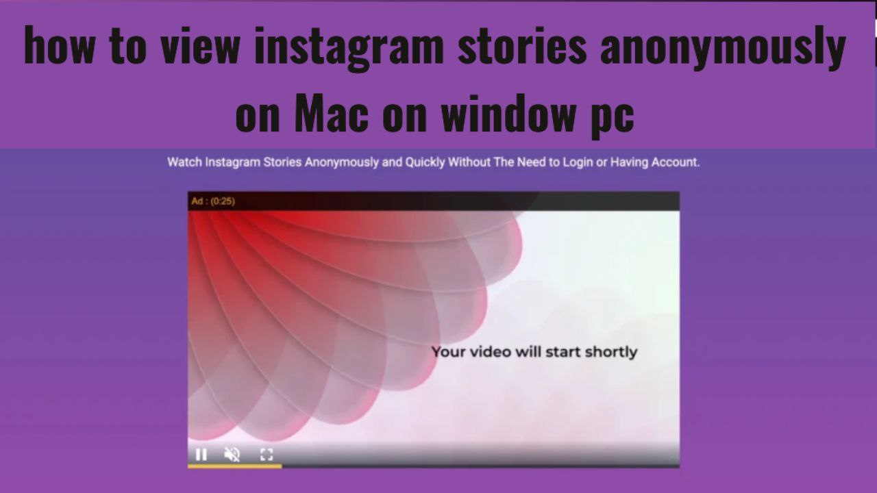 See Instagram Stories Anonymously on Mac or Windows PC