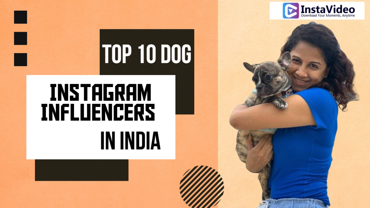 10 dog Instagram influencers in India